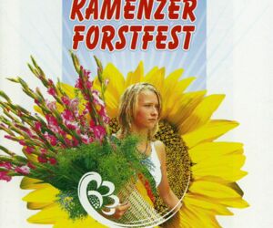 Cover Heft 2008